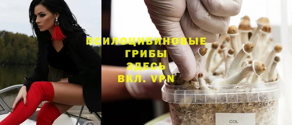 спайс Новозыбков