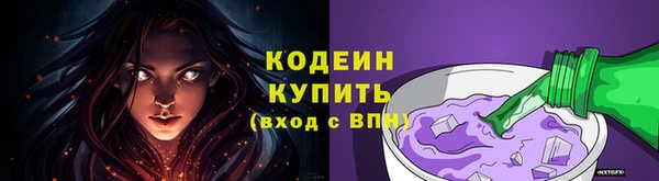 твердый Новодвинск