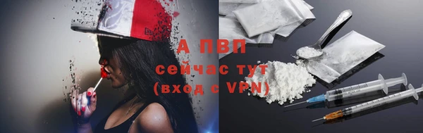 твердый Новодвинск