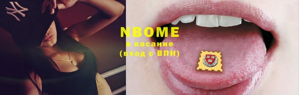 твердый Новодвинск