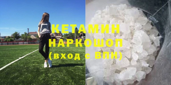 твердый Новодвинск