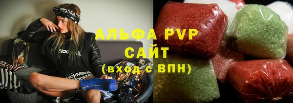 твердый Новодвинск