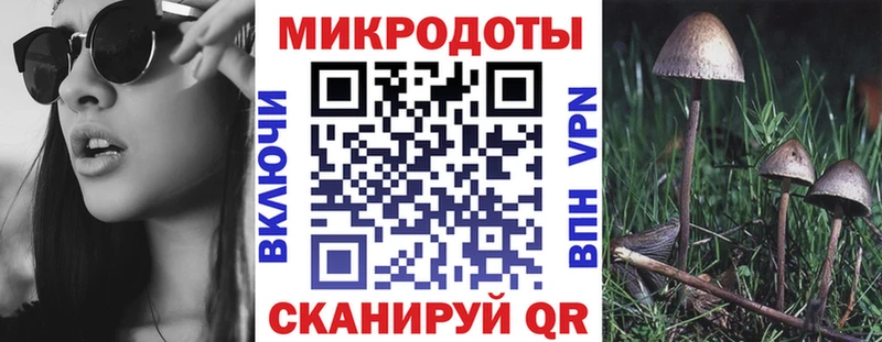 Купить закладки  Южно-Сухокумск  Псилоцибиновые грибы Cubensis 
